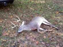 8 pt opening day 2010 killed by my dad