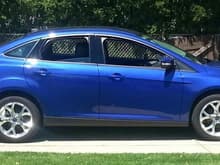 My kids 13 focus SE that I bought her when she got her learners permit