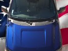 F150sig