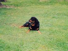 Max