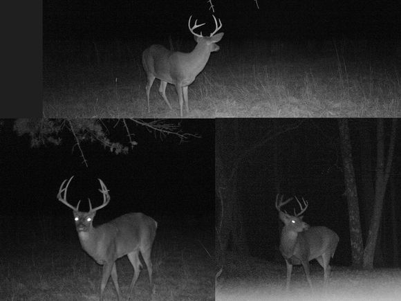 Bucks from 2012