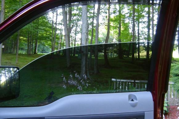 20% Tint