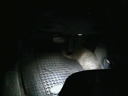 white lights
