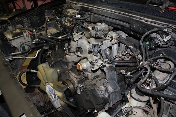 Almost ready to pull...