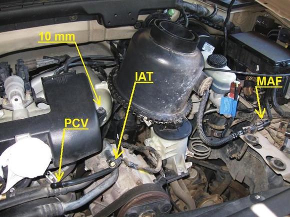 Timing Cover Gasket 02