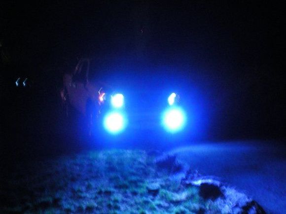 10000k fogs and flashback turn signals on