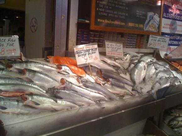 Fish