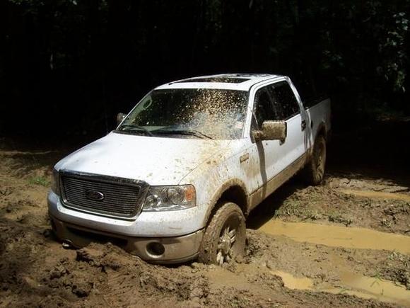 Ford4Evrer stuck