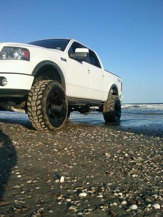 ass in the sand