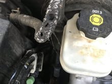 Does anyone recognize this hose on a 2019?  Appears to be air of some type. Car runs rough with the holes in it.
