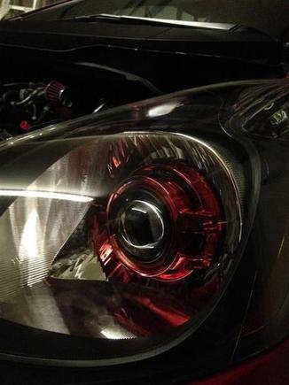 photo 4 (Medium)
