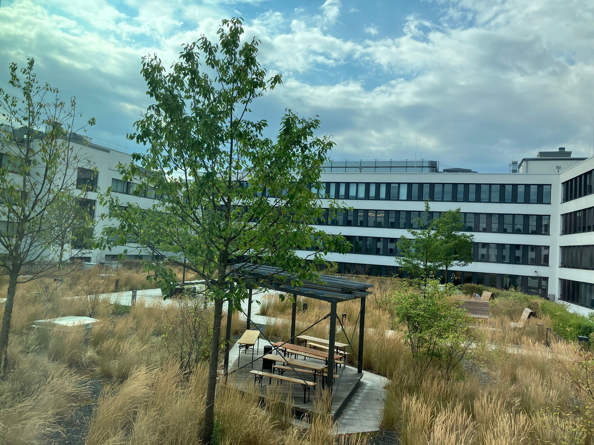 View from Top floor