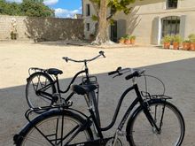Bicycles can be rented