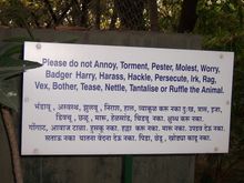 Have they forgotten any adjectives?