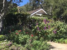 Lavender Cottage