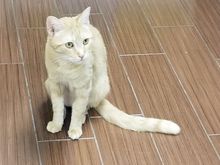 This is her at the Humane Society 
