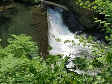 Bronx River waterfall 