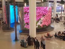 View from the bar area
