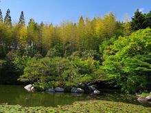 Sankeien garden
