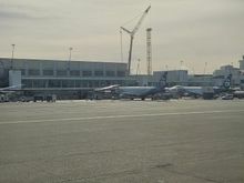 Tower crane rising of the concourse C expansion