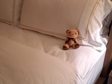The Conrad Hong kong bear ( larger than the Conrad Tokyo and osaka bears) on the bed