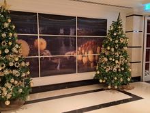 Christmas trees by entrance to the breakfast restaurant at Conrad