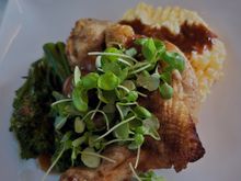 Cumin Rubbed Pan Roasted Chicken with Zinfandel Grape Sauce - planned for this to be no good, but this dish overdelivered with a great sauce and moist chicken