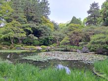 Heian jingu shrine gardens