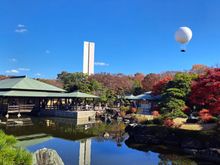 The observation balloon ( the balloon is in the park outside the garden)