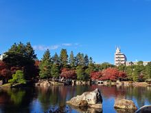 Beautiful autumn colours at  Tokugawa garden as well as higashiyama park ( easily accessible by metro)