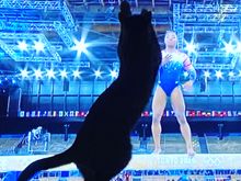 The real reason Simone Biles was able to compete on the beam yesterday.