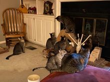 Sky raisin patrol tonight