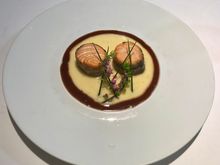 Wild salmon 