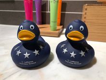 FCT Five Star Ducks 19Oct18