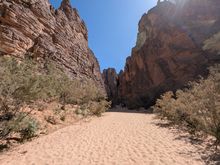 into the canyon