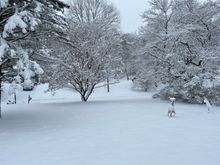 Snow day in Connecticut