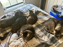 Piling up to take care of Grammy