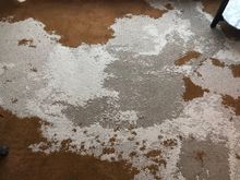 Unfortunately this style of carpet seems to be the trend in hotel renovations.  I think this is my least favorite yet.