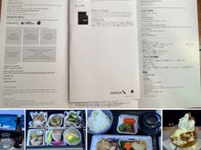 The Japanese meal set from AA27 LAX-HND 14 Nov. The sundae was especially good and no complaints with the main meal. The omelette arrival option was also very acceptable, however I did not take a picture. 