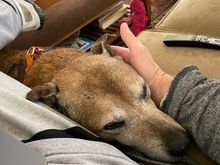 Cody says, “Just leave me alone!”