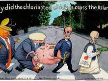
Why did the chicken cross Abbey Rd.?