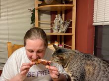 Last night we had baked bone in pork chops brushed with bbq sauce and roasted broccoli and Brussels sprouts.  It was so good one of the cats tried to steal my housemate’s chop as she was eating it.