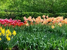 Netherlands