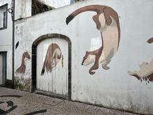 Otters!  