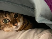 Ariel is not loving the cold here.