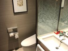 Creepy Japanese toilet that opens when you pass by near it