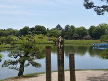 View of the Okayama castle from the koraku-en garden May 2023 ( did this on a day trip from Hiroshima- only 40mins on the fastest Nozomi shinkansen)
