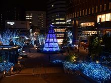 Tokyo Midtown Hibya  Dec 2019  ( you can walk through the tree)
