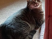 Fred is ready for me to go away again.