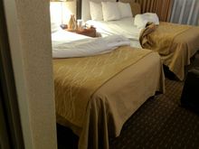 Must have been a comfort inn or something. Lol 😂 